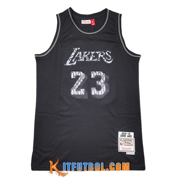 Camisetas Los Angeles Lakers (JAMES #23) 2024/25 Negro/Gris