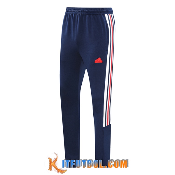 Pantalon Entrenamiento Adidas azul real 2024/2025
