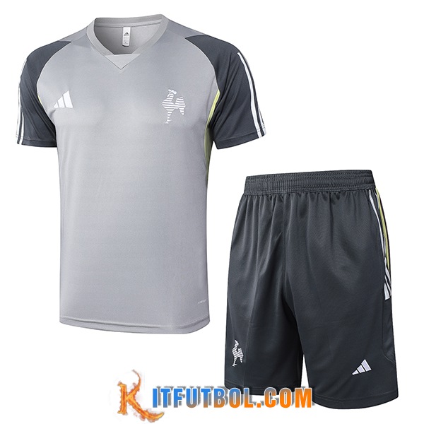 Camiseta Entrenamiento Atletico Mineiro Gris 2024/2025