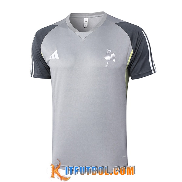 Camiseta Entrenamiento Atletico Mineiro Gris 2024/2025