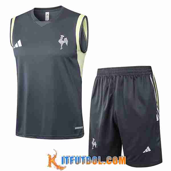 Camiseta Entrenamiento sin mangas Atletico Mineir Gris Oscuro 2024/2025