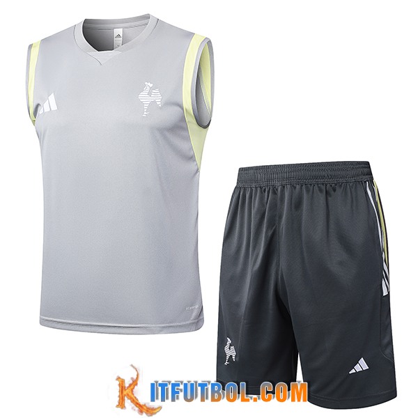 Camiseta Entrenamiento sin mangas Atletico Mineir Gris Claro 2024/2025