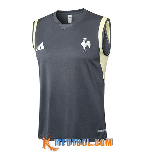Chalecos De Futbol Atletico Mineir Gris Oscuro 2024/2025