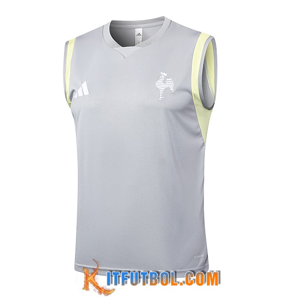 Chalecos De Futbol Atletico Mineir Gris Claro 2024/2025