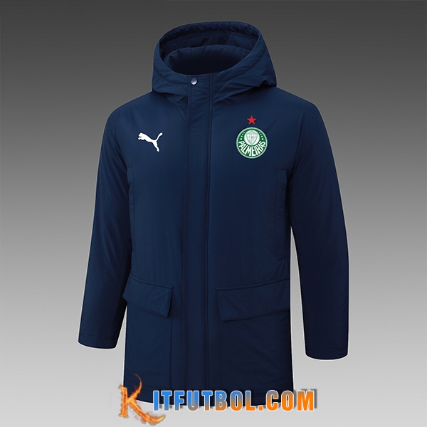 Chandal Plumas Con Capucha Palmeiras azul real 2024/2025