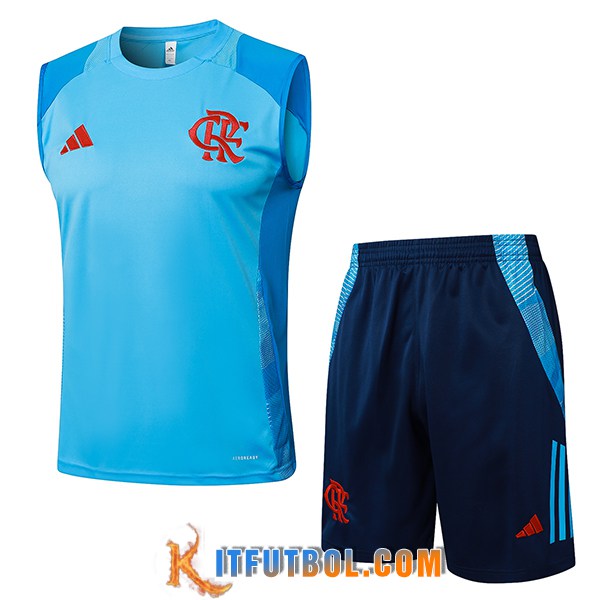 Camiseta Entrenamiento sin mangas Flamengo Azul 2025/2026