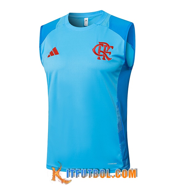 Chalecos De Futbol Flamengo Azul 2025/2026