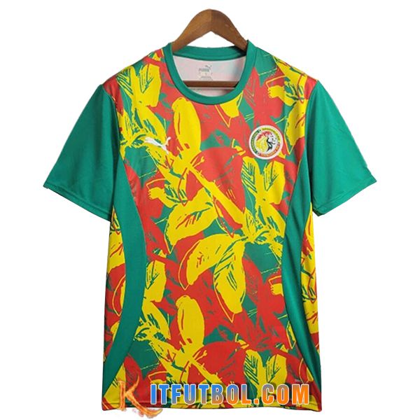 Camiseta Entrenamiento Senegal Verde/Amarillo/Rojo 2025/2026