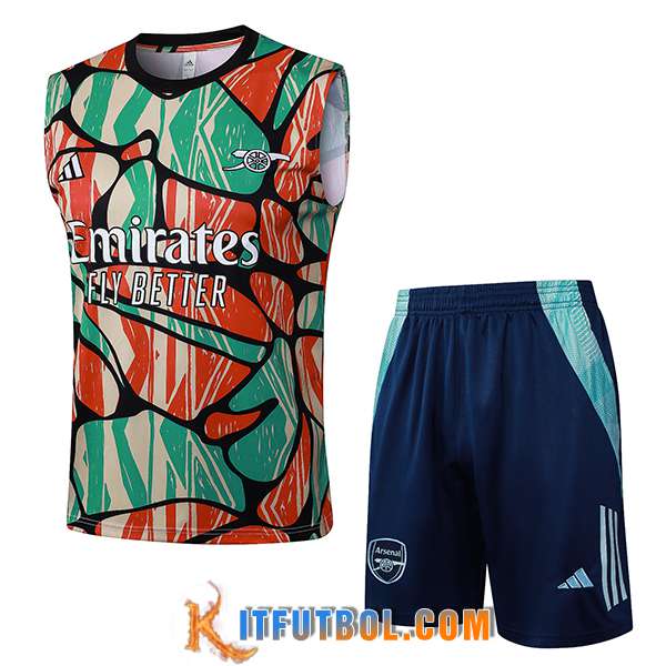Camiseta Entrenamiento sin mangas Arsenal Rojo/Verde/Beige 2025/2026