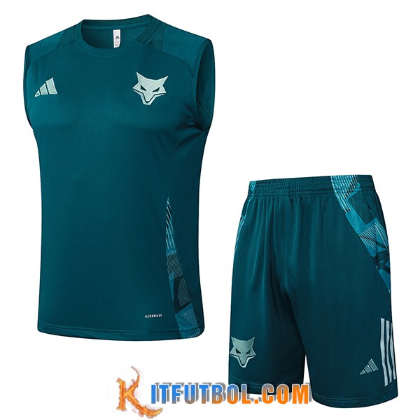 Camiseta Entrenamiento sin mangas Cruzeiro Verde 2025/2026