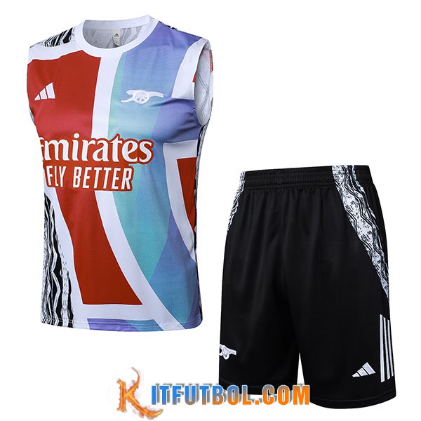 Camiseta Entrenamiento sin mangas Arsenal Blanco/Azul/Rojo 2025/2026
