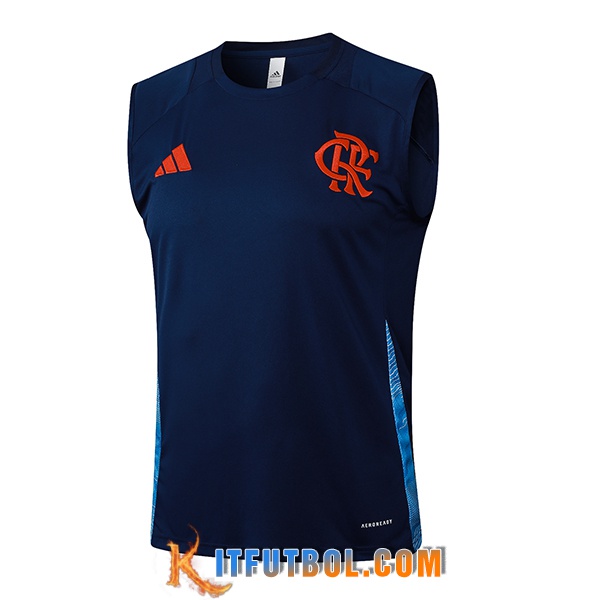 Chalecos De Futbol Flamengo azul real 2025/2026