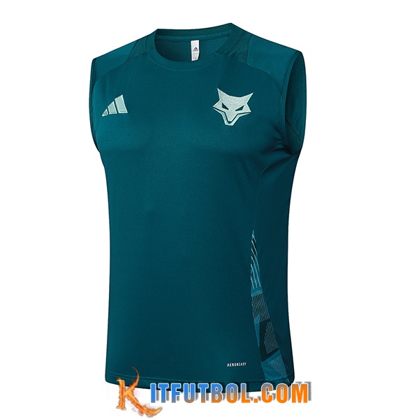 Chalecos De Futbol Cruzeiro Verde 2025/2026