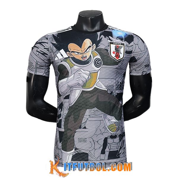 Camiseta Equipo Nacional Japon Special Edition Gris 2025/2026