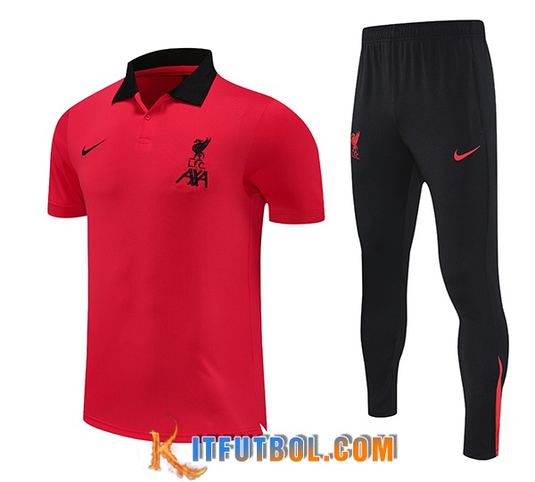 Camiseta Polo FC Liverpool Rojo 2025/2026