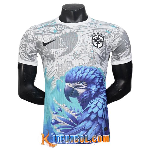 Camiseta Equipo Nacional Brasil Special Edition Gris/Azul 2025/2026