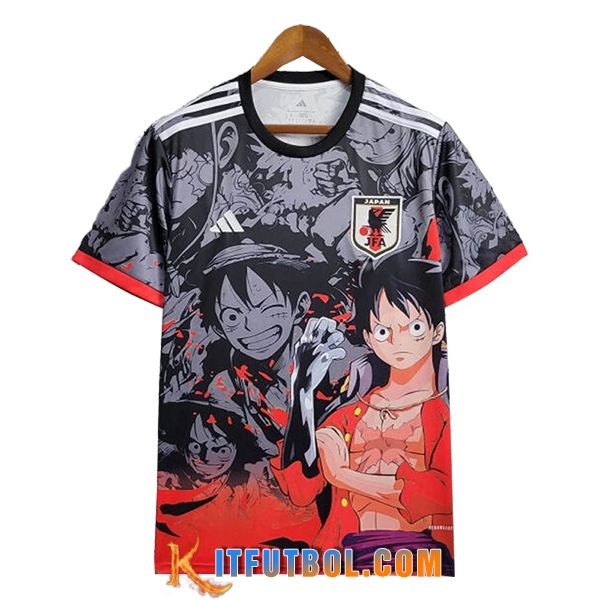 Camiseta Equipo Nacional Japon Special Edition Gris 2025/2026