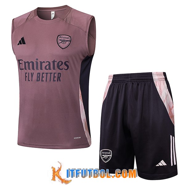 Camiseta Entrenamiento sin mangas Arsenal Violeta/Negro 2025/2026