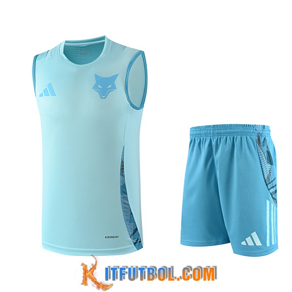 Camiseta Entrenamiento sin mangas Cruzeiro Azul Claro 2025/2026