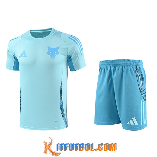 Camiseta Entrenamiento Cruzeiro Azul Claro 2025/2026