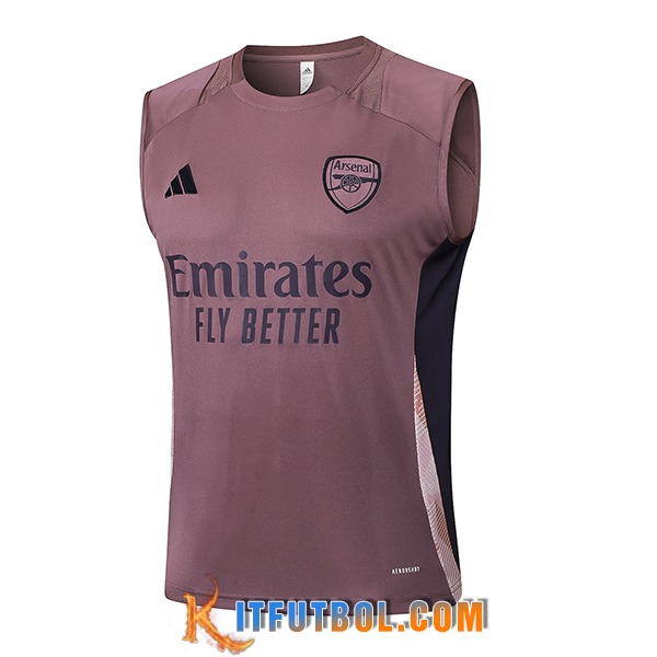 Chalecos De Futbol Arsenal Violeta/Negro 2025/2026