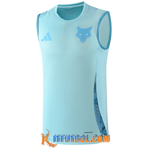 Chalecos De Futbol Cruzeiro Azul Claro 2025/2026