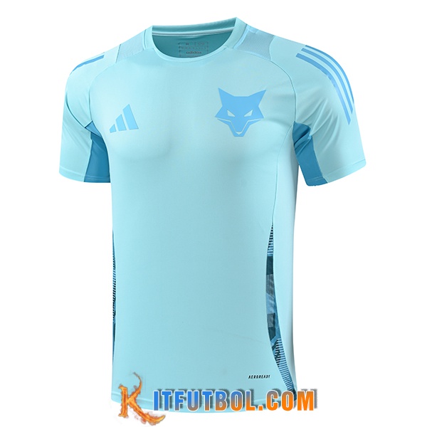 Camiseta Entrenamiento Cruzeiro Azul Claro 2025/2026