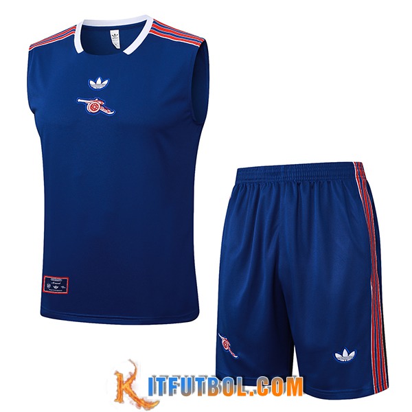 Camiseta Entrenamiento sin mangas Arsenal Azul/Rojo 2025/2026