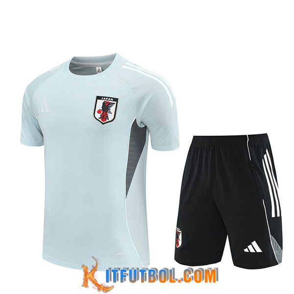 Camiseta Entrenamiento Japon Gris Claro 2025/2026