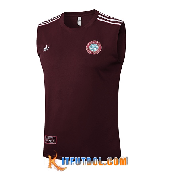 Chalecos De Futbol Bayern Munich Marrón/Blanco 2025/2026