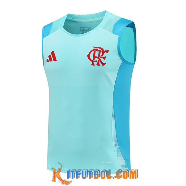 Chalecos De Futbol Flamengo Verde/Azul 2025/2026