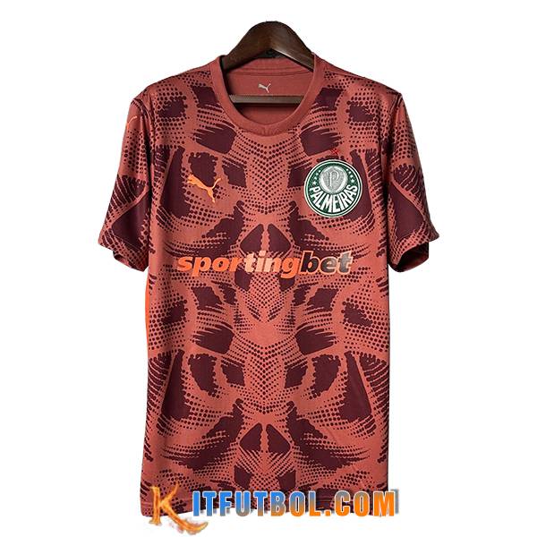 Camisetas De Futbol Palmeiras Portero Rojo 2025/2026