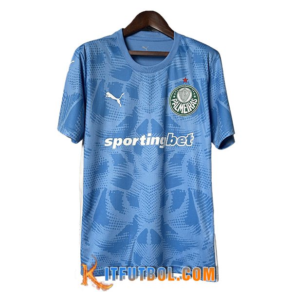 Camisetas De Futbol Palmeiras Portero Azul 2025/2026