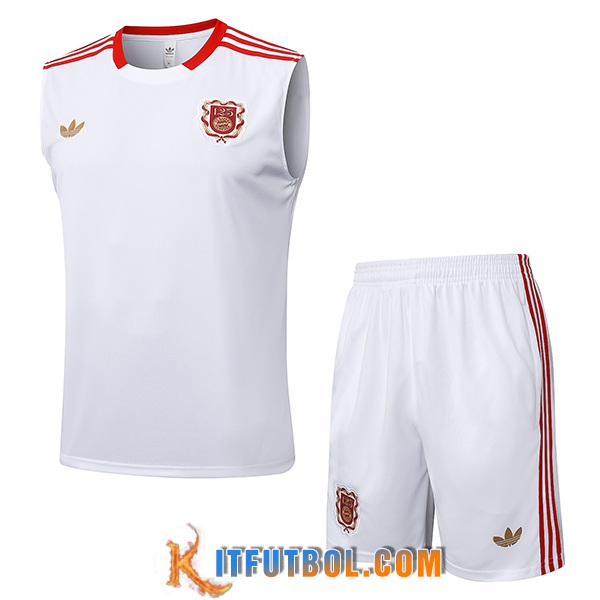Camiseta Entrenamiento sin mangas Bayern Munich Blanco/Rojo 2025/2026