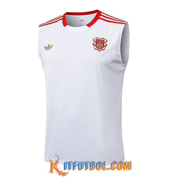 Chalecos De Futbol Bayern Munich Blanco/Rojo 2025/2026