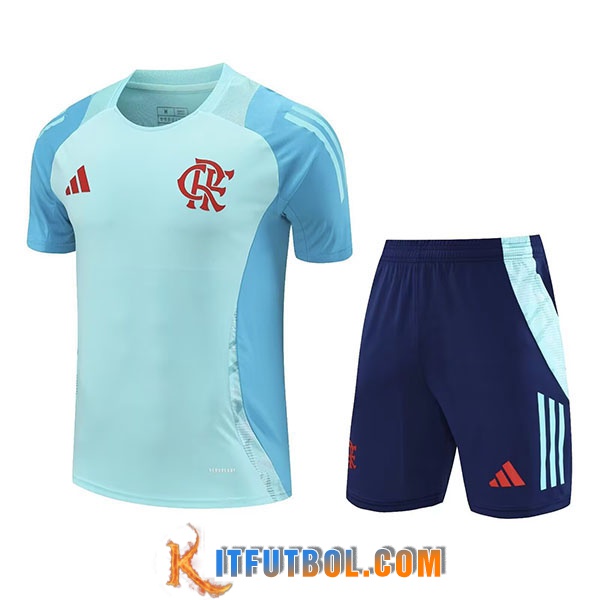 Camiseta Entrenamiento Flamengo Ninos Verde/Azul 2025/2026