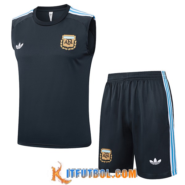 Camiseta Entrenamiento sin mangas Argentina Gris Oscuro 2025/2026