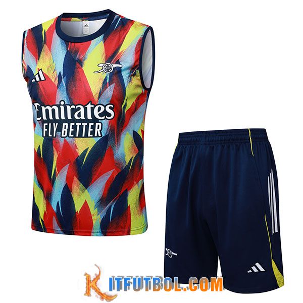 Camiseta Entrenamiento sin mangas Arsenal Rojo/Azul/Amarillo 2025/2026