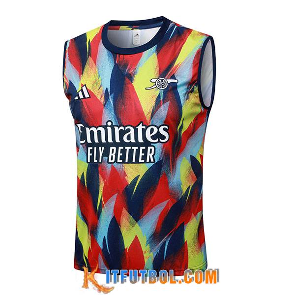 Chalecos De Futbols Arsenal Rojo/Azul/Amarillo 2025/2026