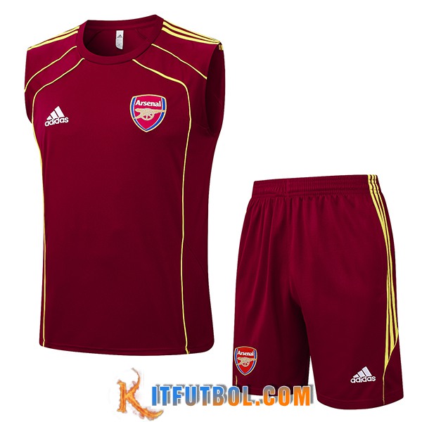Camiseta Entrenamiento sin mangas Arsenal Rojo/Amarillo 2025/2026