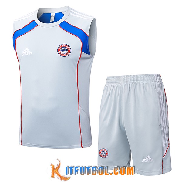 Camiseta Entrenamiento sin mangas Bayern Munich Gris/Rojo/Azul 2025/2026