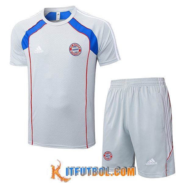 Camiseta Entrenamiento Bayern Munich Gris/Rojo/Azul 2025/2026