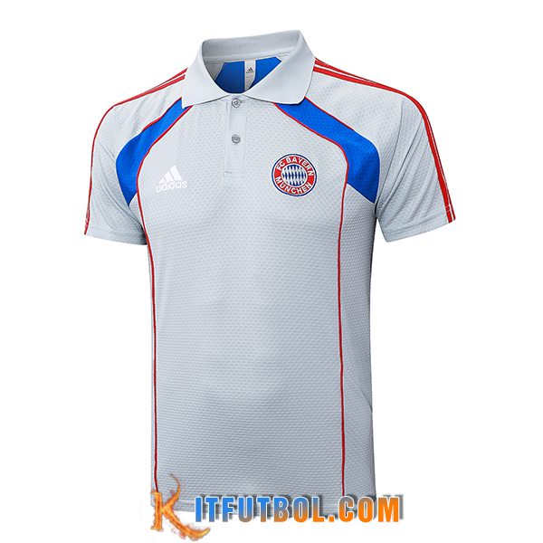 Camiseta Polo Bayern Munich Gris/Azul/Rojo 2025/2026