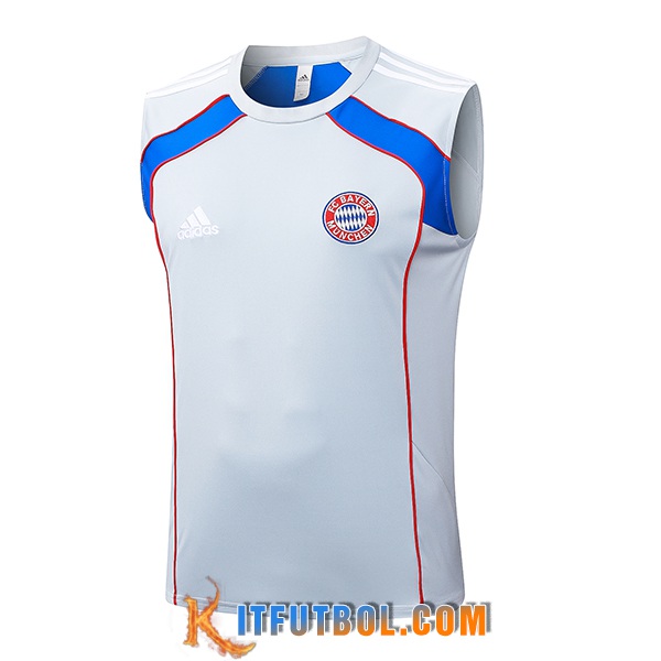 Chalecos De Futbol Bayern Munich Gris/Rojo/Azul 2025/2026