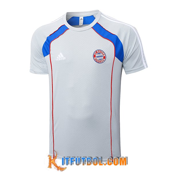 Camiseta Entrenamiento Bayern Munich Gris/Rojo/Azul 2025/2026