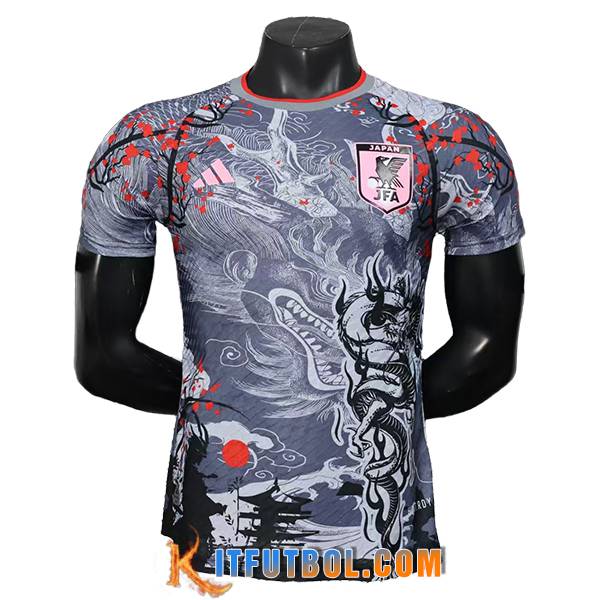 Camiseta Equipo Nacional Japon Special Edition Gris 2025/2026