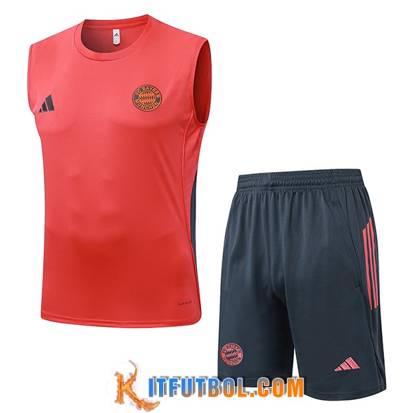 Camiseta Entrenamiento sin mangas Bayern Munich Naranja/Gris 2025/2026