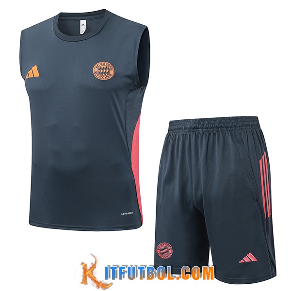 Camiseta Entrenamiento sin mangas Bayern Munich Gris/Naranja 2025/2026