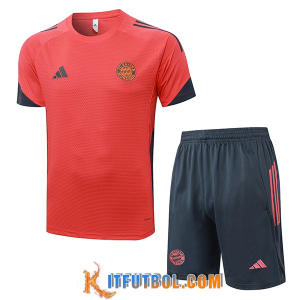 Camiseta Entrenamiento Bayern Munich Gris/Naranja 2025/2026