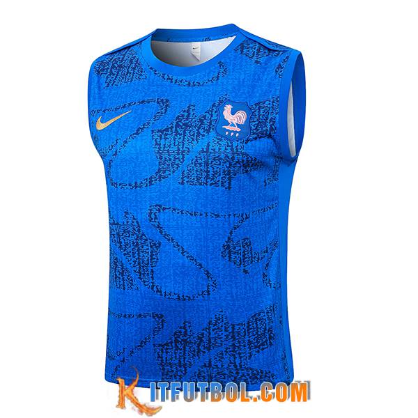 Chalecos De Futbol Francia Azul 2025/2026